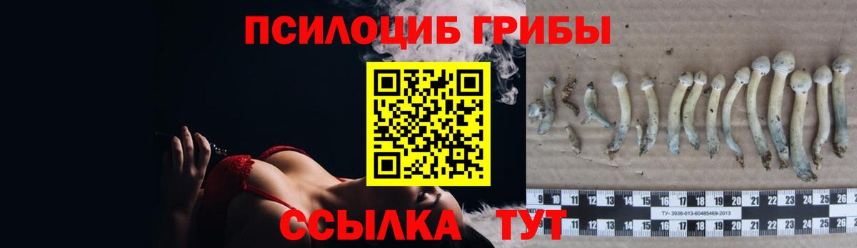 Верхняя Пышма  сколько стоит  Галлюциногенные грибы GOLDEN TEACHER  Вход с VPN  Псилоцибиновые грибы MAGIC MUSHROOMS 